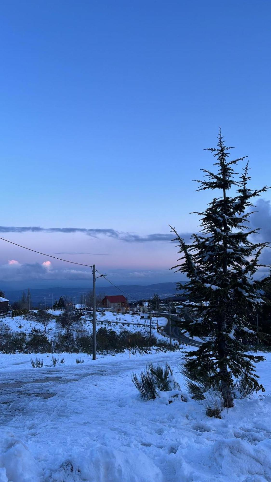 Casa Dos Pinheiros - Serra Da Estrela Пеньяс-да-Сауде Экстерьер фото